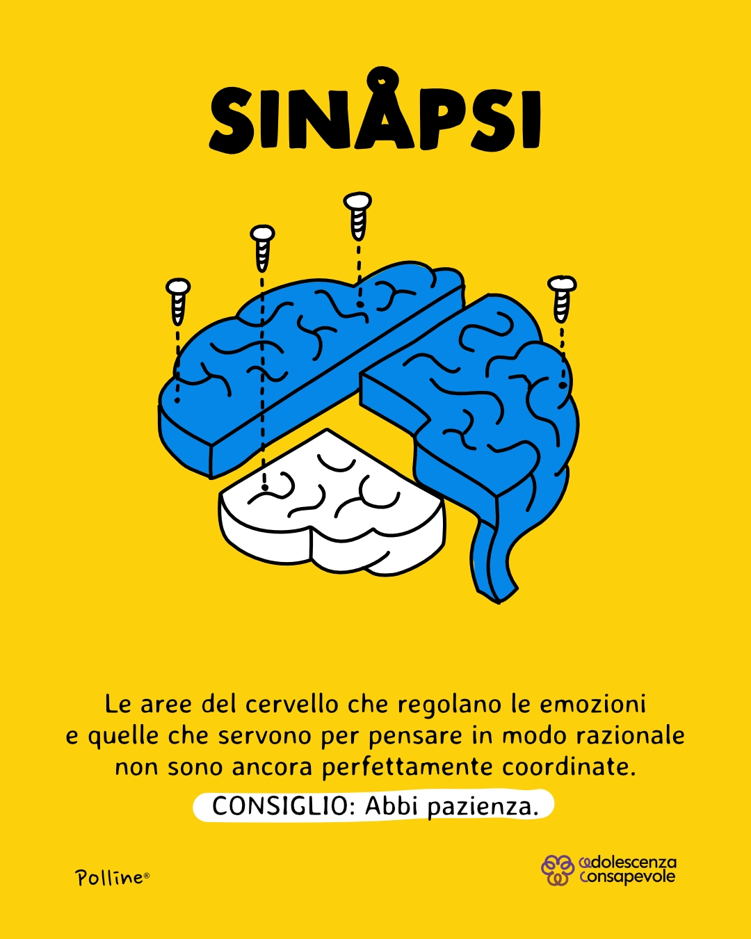 Carosello Adolescenza Consapevole, slide 2