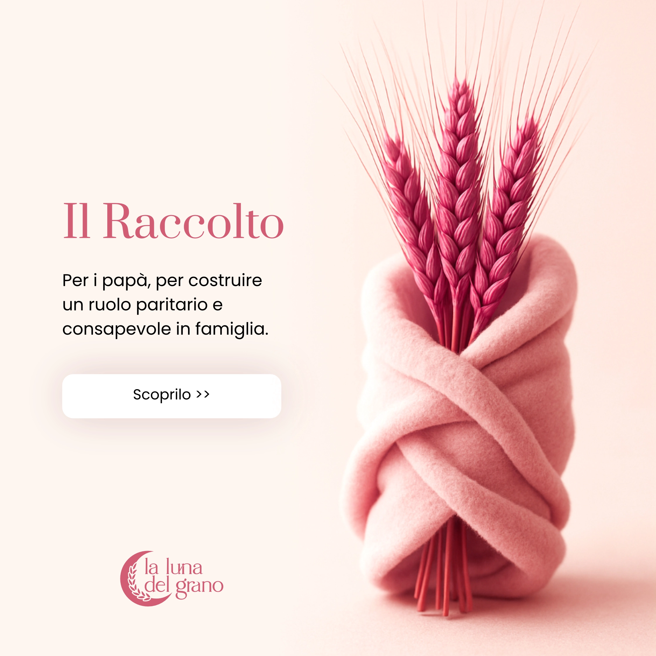 Il Raccolto: per i papà, per costruire un ruolo paritario e consapevole in famiglia