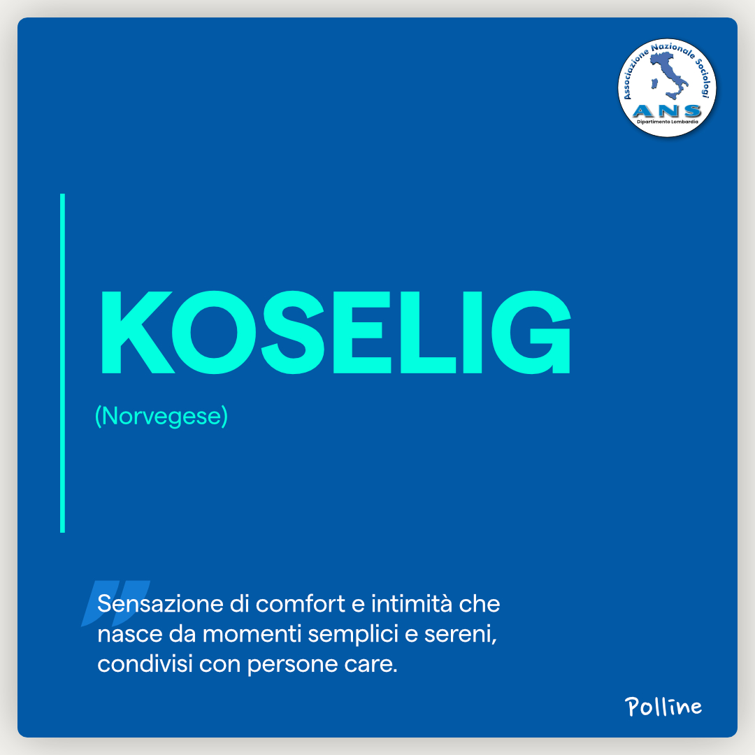 Koselig (norvegese)